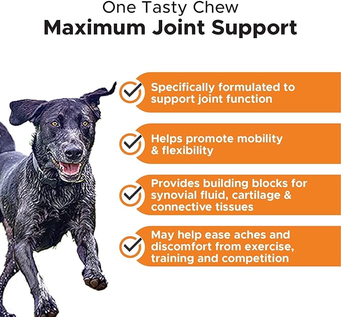 Pet Honesty Hip & Joint Health Max Strength - Natural Joint Supplement for Dogs Chews - Glucosamine, Omega-3s, Chondroitin, Green Lipped Mussel - Help Improve Mobility, May Reduce Discomfort (90 ct)