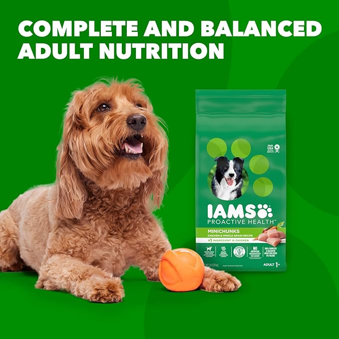 IAMS Adult Minichunks Small Kibble High Protein Dry Dog Food with Real Chicken, 40 lb. Bag