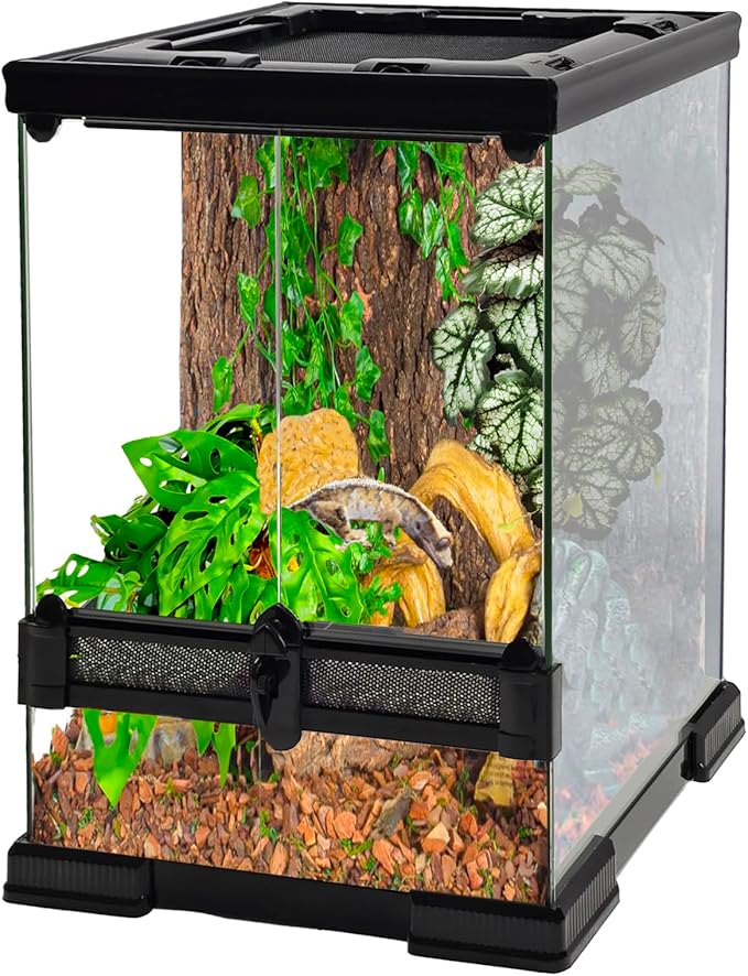 10 Gallon Reptile Glass Tank 12"x12"x18", Full Vision Reptile Terrarium, Vertical Reptile enclosure with Deep Base & Top Screen Ventilation, Suitable for Reptiles and Amphibians