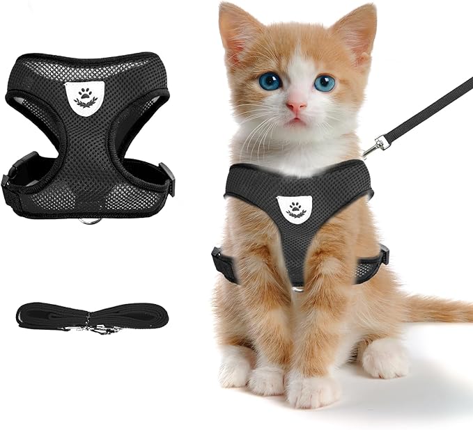 Summer cat Chest Harness and Leash, Anti-Escape Adjustable Soft mesh cat Leash and Chest Harness Set for All Types of Cats cat Vests (Size S,Black)