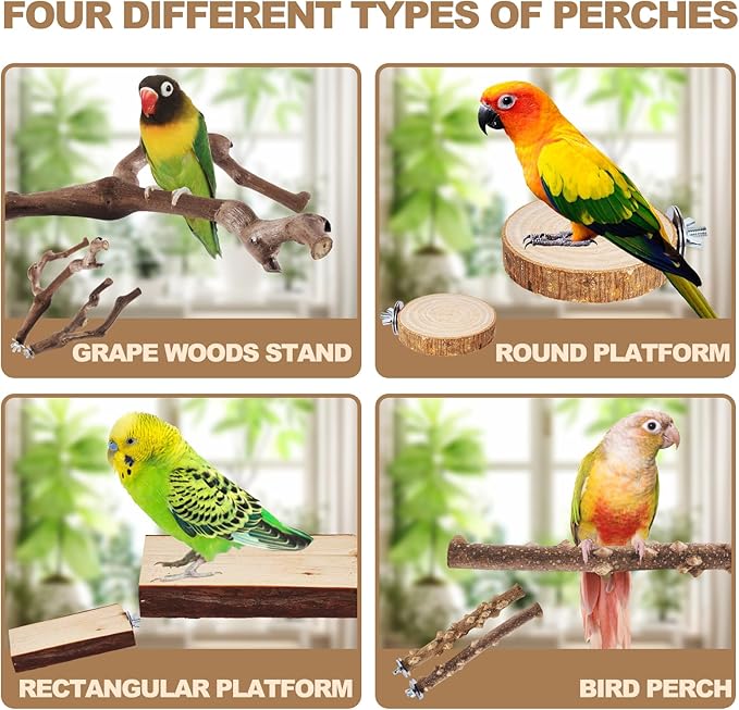 6PCS Bird Perch 2 Grape Stick Paw Grinding Fork Natural Wood Bird Stand 4 Parrot Stand Bird Toys for Parakeets Chewing Exercise Branches, Bird Cage Accessories for Cockatiels, Conure, Budgies