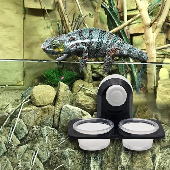 Reptile Feeding Cups Water Bowl Double Crested Gecko Feeding Ledge with 20 Pcs 0.5oz Bowls，Detachable Suction Cup Reptile Feeding Dish Feeder for Lizard Tortoise Reptile Spider Gecko (Double)