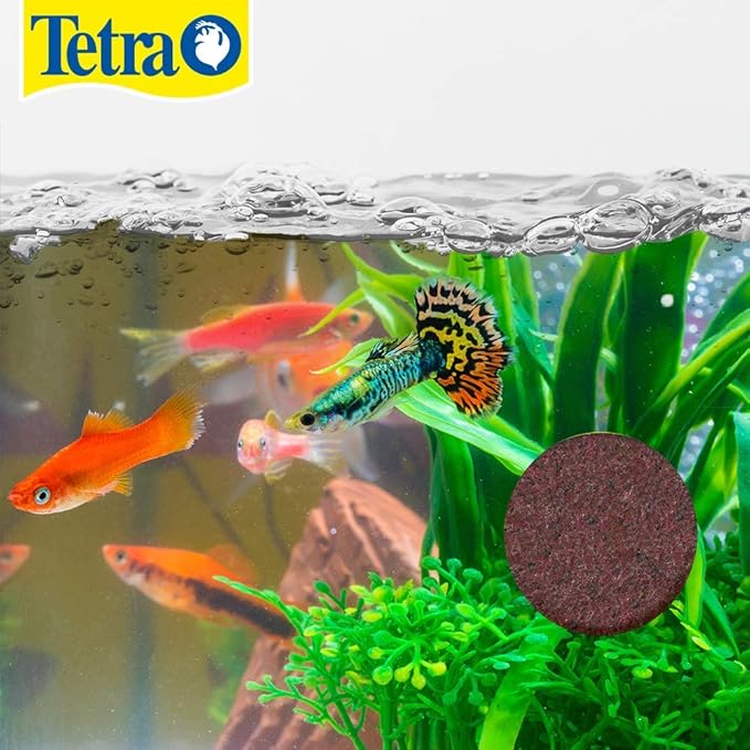 Tetra Weekend and Vacation Feeder Slow-Release Fish Food for Tropical Fish 0.85 Ounce (Pack of 2) (Packaging may vary)