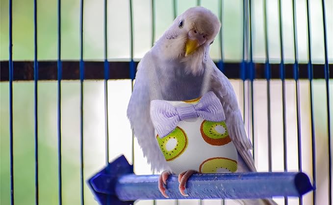 Bird Diaper Parrot Washable Diapers, Parrot Flight Suit, Reusable Nappies for Parakeet Cockatiel Mini Macaw Budgie Canary 2 Pcs