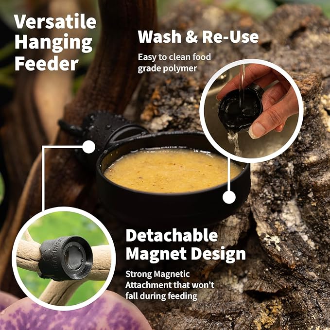 Pangea Microdish Branch & Surface Mount Kit for Gecko Feeding (L Branch Mount)