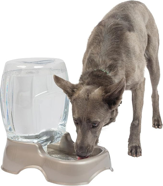 Petmate Pet Cafe Waterer Cat and Dog Water Dispenser 1.5 gallon, Pearl Tan