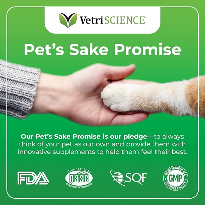 VetriScience Perio Plus Cat Teeth Cleaning Bites - Advanced Cat Breath Freshener - Dual Action Cat Dental Care Formula for Plaque Control & Fresh Breath, 60 Chews, Chicken Flavor