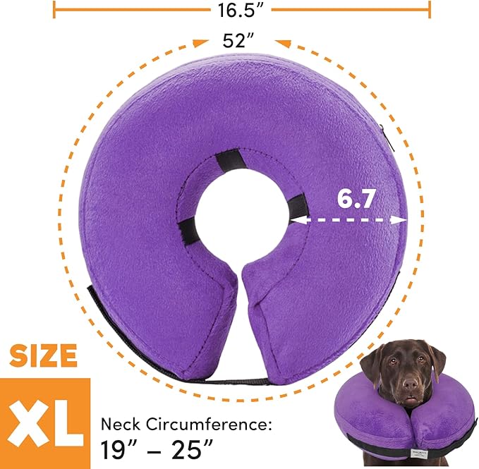 BENCMATE Protective Inflatable Collar for Dogs and Cats - Soft Pet Recovery Collar Does Not Block Vision E-Collar (XLarge, Purple)