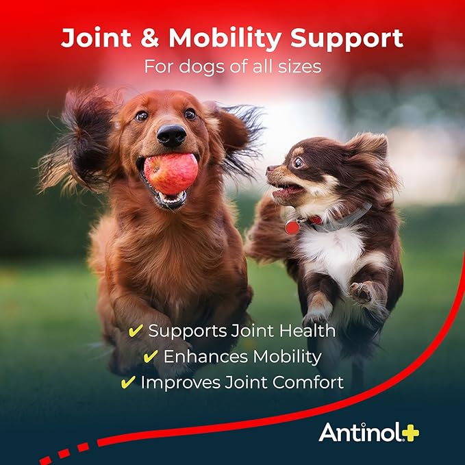 Plus, Mobility, Hip, and Joint Supplement for Dogs, Green-Lipped Mussels and Krill Oil - Dog Joint Supplement, Better and Faster than Glucosamine and Chondroitin, 60 Soft Gels