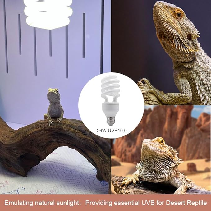 UVB Reptile Light Bulb 10.0 26W, UVA-UVB Bulbs for Reptiles Ideal for Rainforest Reptiles Bearded Dragons Lizard Tortoise Iguanas Chameleons Snake - 2 Pack