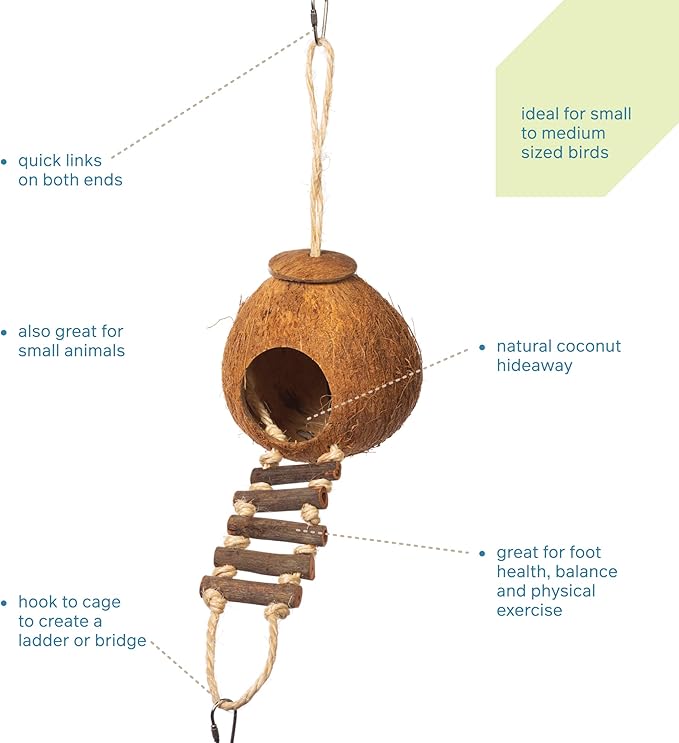 Prevue Hendryx Prevue Pet Products 62801 Naturals Coco Hideaway with Ladder Bird Toy,1 Count (Pack of 1)