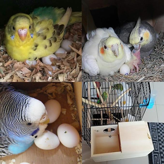 Wood Parakeet Nest Box Pet Bird House Parrot Breeding Mating Box Bird Cage Box for Lovebirds Cockatiel Parrotlets Budgerigar Parakeet (L)