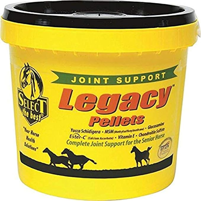 RICHDEL 784299542006 Legacy Pellets Joint Support for Senior Horses, 20 lb