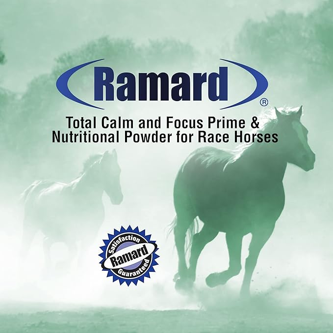 Total Calm and Focus for Horses Supplement - Magnesium & Calming Formula for Horse Show, Training, & Performance Mental Alertness without Drowsiness, Show Safe, Perfect Prep for Horses 1 pack