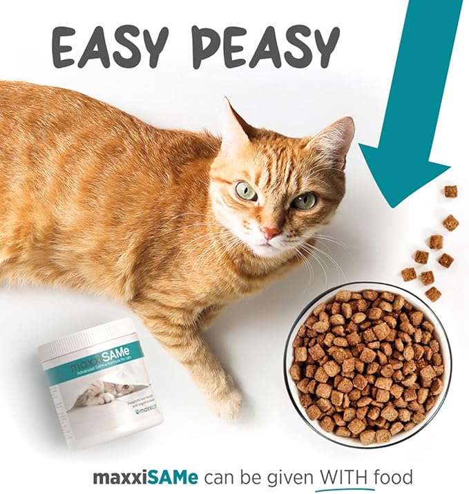 maxxiSAMe Advanced SAM-e Powder Supplement - Liver, Cognitive & Joint Support for Cats, 3.2oz