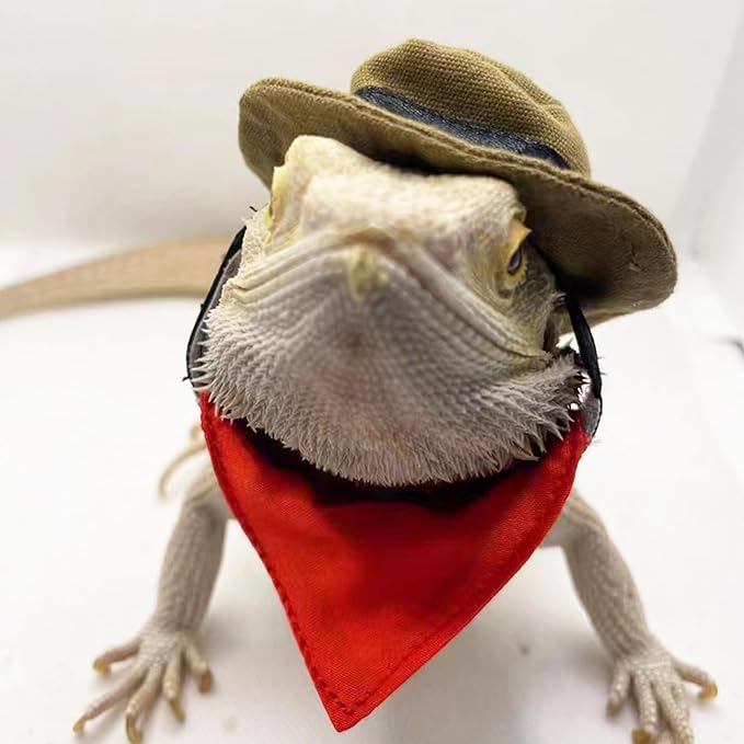 ADOGGYGO Bearded Dragon Cowboy Hat Bandana Set, Halloween Lizard Cowboy Costume Bearded Dragon Accessories Small Animal Reptile Cosplay Outfits (Cowboy Brown)