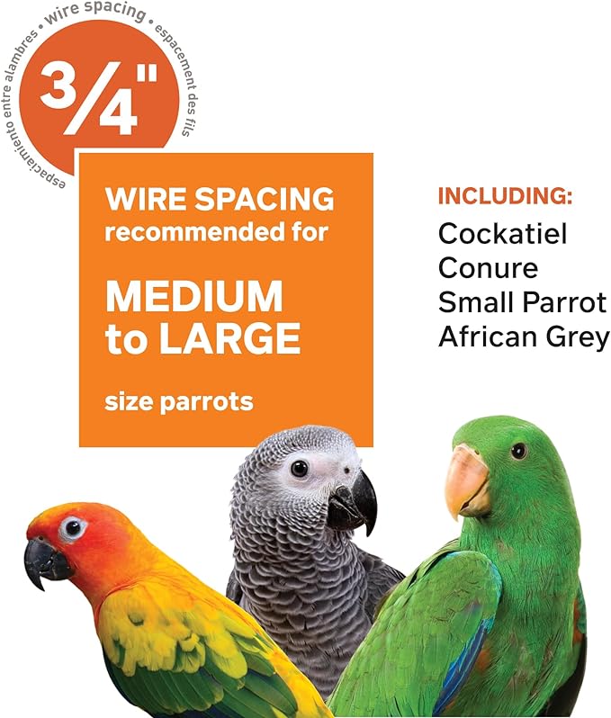 Prevue Pet Products Wrought Iron Select Bird Cage 3154COCO, Coco Brown, 36-Inch by 24-Inch by 66-Inch