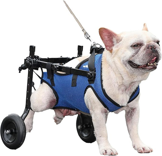 Dog Wheelchair Van. Dog Wheelchair Trolley for rears, Adjustable Dog Wheelchair Trolley for rears, Dog Leg Support and Hip Support for Disabled and Injured Small Dogs