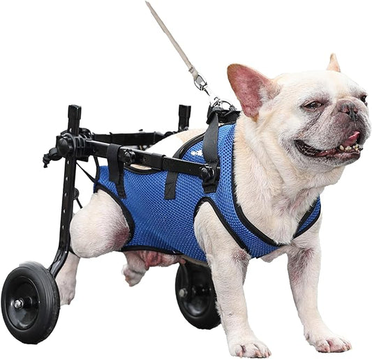 Dog Wheelchair Van. Dog Wheelchair Trolley for rears, Adjustable Dog Wheelchair Trolley for rears, Dog Leg Support and Hip Support for Disabled and Injured Small Dogs