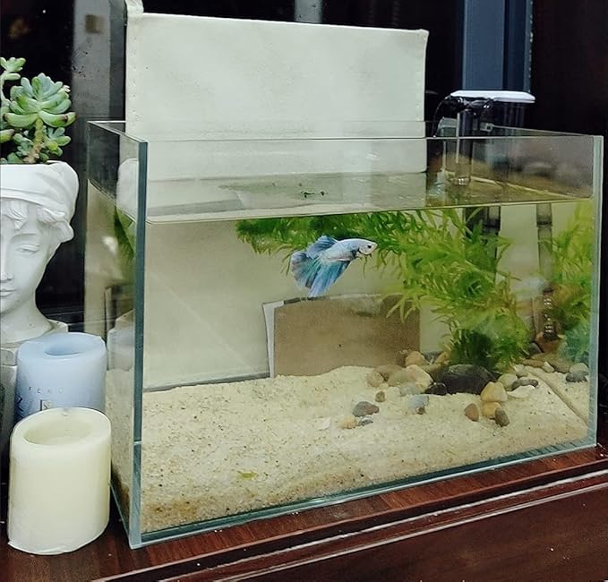 Small Nano Tall Rimless Tank, Small Glass Fish Tank, Small Betta Fish Tank, Small Aquarium, min Aquarium, Betta Tank (2.85 Gallon 11.8x6.7x7.8inch/30x17x20cm)