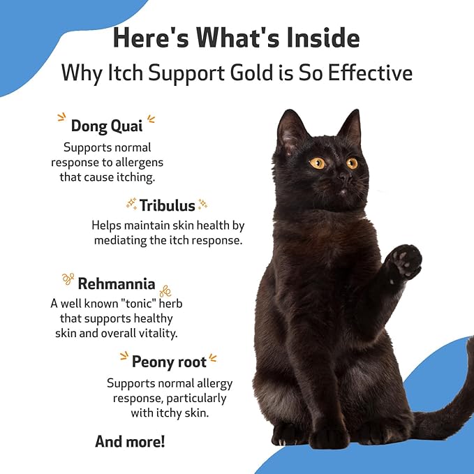 Pet Wellbeing Itch Support Gold for Cats - Vet-Formulated - Itchy Skin & Paws, Hot Spots, Skin Allergies - Natural Herbal Supplement 2 oz (59 ml)