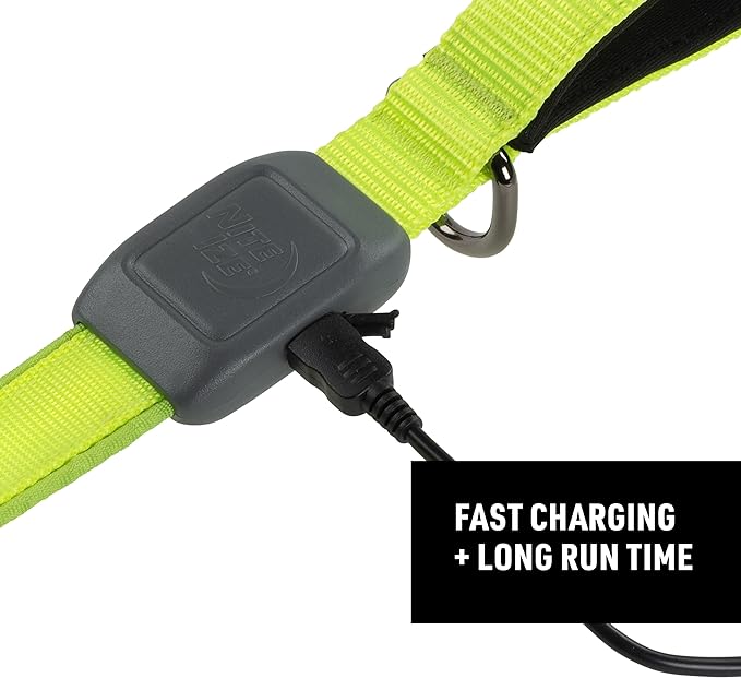 Nite Ize NiteDog Rechargeable LED Leash - Rechargeable LED Light Dog Leash with Padded Handle - Dog Walking Accessories for Walking & Running - 5 Feet, Lime