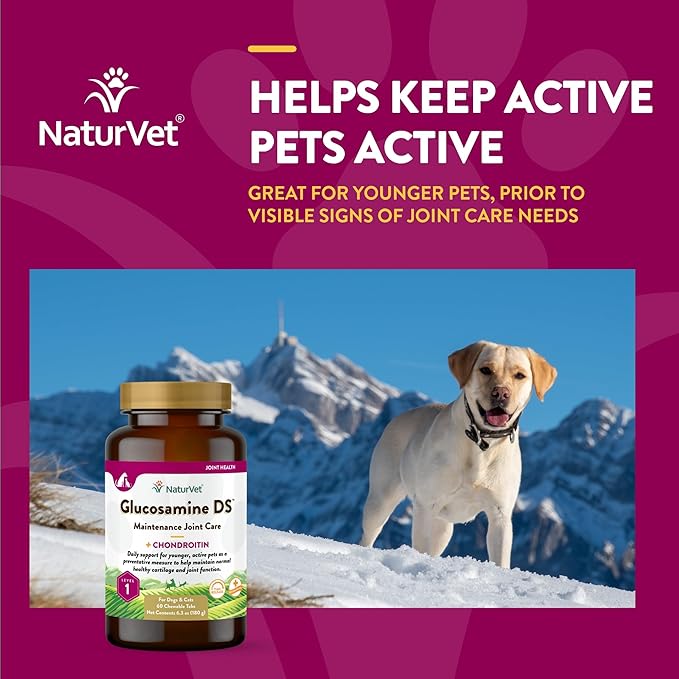 NaturVet Glucosamine DS Level 1 Maintenance Care Hip & Joint Support Pet Supplement for Dogs & Cats –Glucosamine, Chondroitin, Antioxidants –Supports Cartilage, Joint Function – 60 Ct.