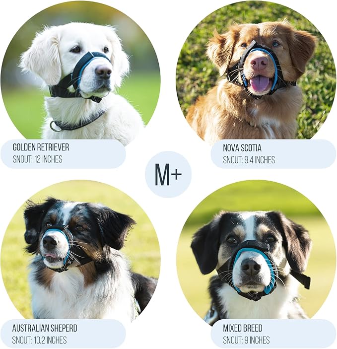 Gentle Muzzle Guard for Dogs - Prevents Biting and Unwanted Chewing Safely Secure Comfort Fit - Soft Neoprene Padding – No More Chafing – Training Guide Helps Build Bonds with Pet (M+, Blue)