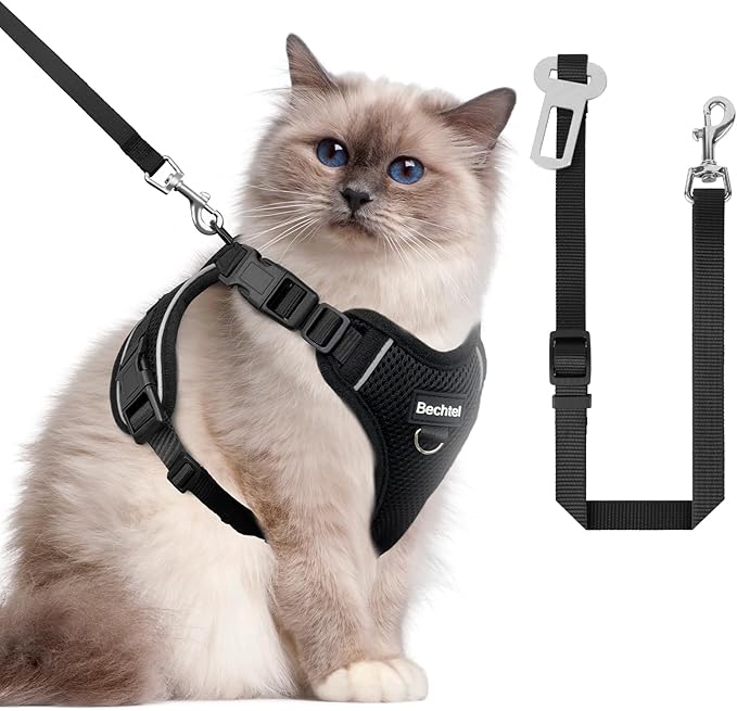 Cat Car Harness and Leash for Walking, The Upgrade Can be Adjusted in Four Directions and Breathable Cat Harness for Anti Escape That can be Fitted and Positioned, Reflective Strips Harness, Black, M