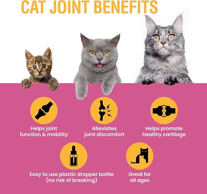 Cat Joint Supplement, Liquid Glucosamine with Chondroitin for Cats, Feline Hip and Joint Pain Relief, 2 oz