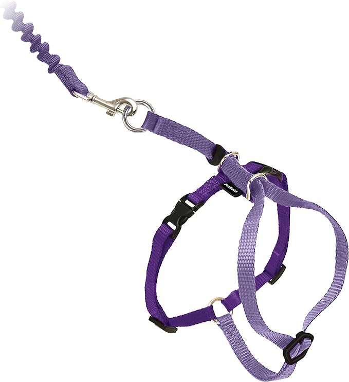 PetSafe Come with Me Kitty Harness and Bungee Leash, Harness for Cats, Medium, Lilac/Bright Purple