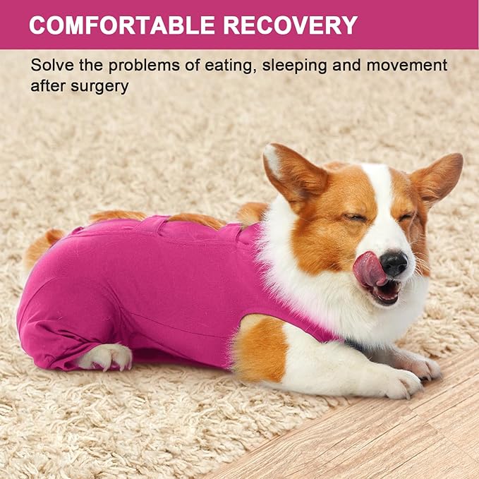 IECOii Dog Onesie for Surgery,Dog Surgery Suit Female Spay Recovery Suit for Medium Size Dog,Dog Recovery Suit Male Pet Abdominal Anti Licking Shirt,Dog Bodysuit Alternative to Cone E-Collar,M-Rosered