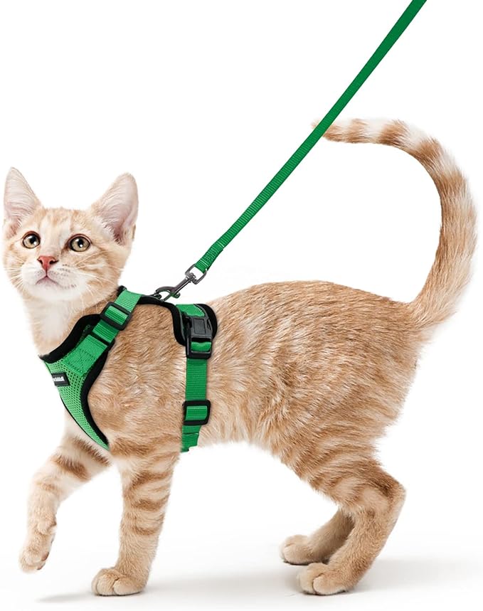 rabbitgoo Cat Harness and Leash for Walking, Escape Proof Soft Adjustable Vest Harnesses for Cats, Easy Control Breathable Reflective Strips Jacket, Grass Green,S