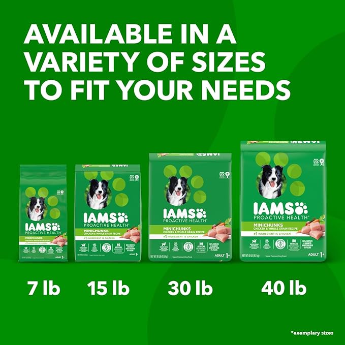 IAMS Adult Minichunks Small Kibble High Protein Dry Dog Food with Real Chicken, 40 lb. Bag