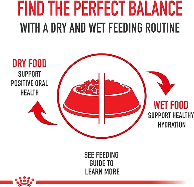 Royal Canin Feline Care Nutrition Appetite Control Thin Slices in Gravy Wet Cat Food, 3 oz can (24-count)