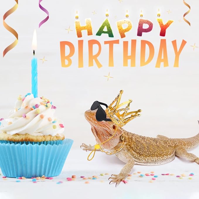 Bearded Dragon Accessories Set Including Crown Necklace Sunglasses with Adjustable Elastic Chin Strap Reptile Clothes Lizards Gecko Chameleon Iguana Frogs for Photo Props Birthday Gift