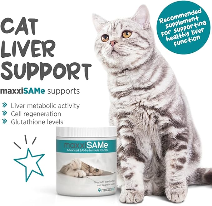 maxxiSAMe Advanced SAM-e Powder Supplement - Liver, Cognitive & Joint Support for Cats, 3.2oz