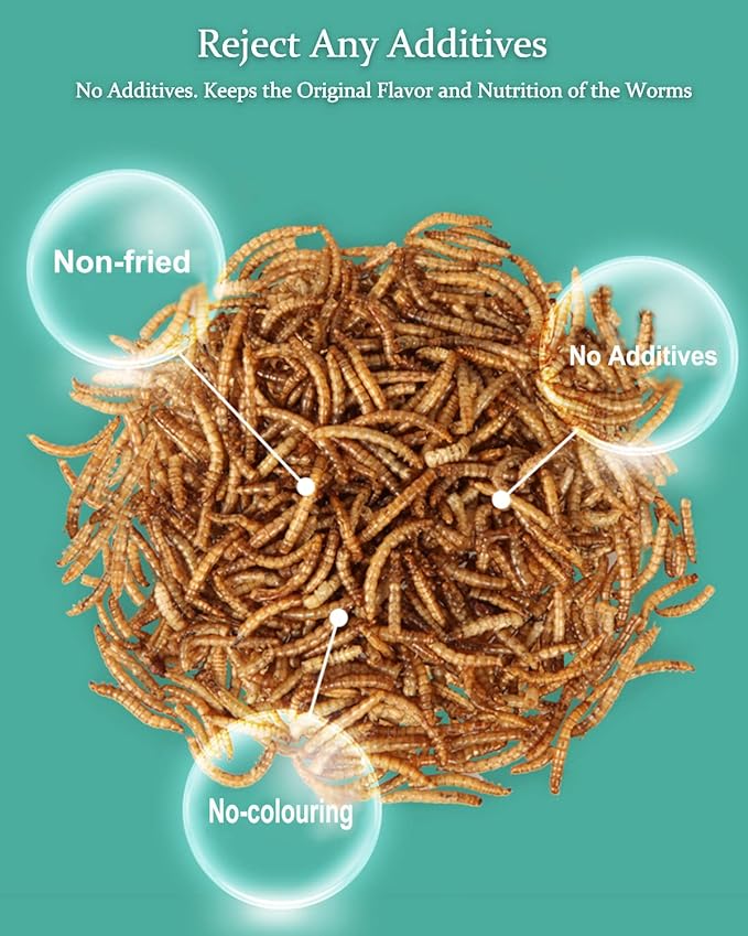 Reptile Food Dried Mealworms Pet Worms Food for Bearded Dragon, Lizard, Turtles, Chameleon, Monitor, Frog, Sugar Glider, Chickens, Birds, Hamsters and Hedgehogs (8 OZ)