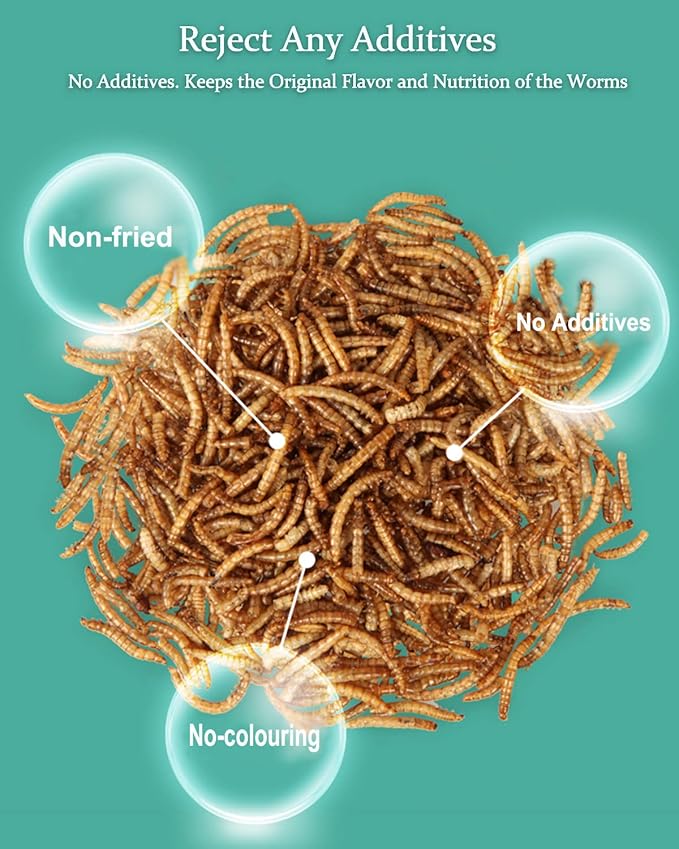 Reptile Food Dried Mealworms Pet Worms Food for Bearded Dragon, Lizard, Turtles, Chameleon, Monitor, Frog, Sugar Glider, Chickens, Birds, Hamsters and Hedgehogs (3.5 OZ)