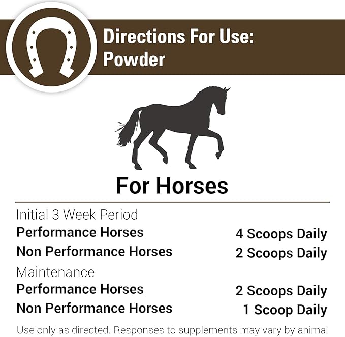 Vet Classics ArthriEase-Gold Joint Formula for Horses, Glucosamine, Chondroitin, Hyaluronic Acid & MSM Supports Joint Function & Flexibility, Alleviates Aches & Discomfort, 4 lb Powder, 120 Day Supply