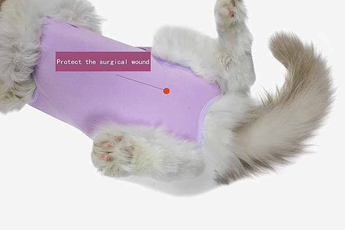 Cat Surgery Recovery Suit Female Kitten Cat Onesie for Cats After Surgery Spay Surgical Abdominal Wound Skin Diseases Cone Collar Soft Alternative Wear (Purple, M)