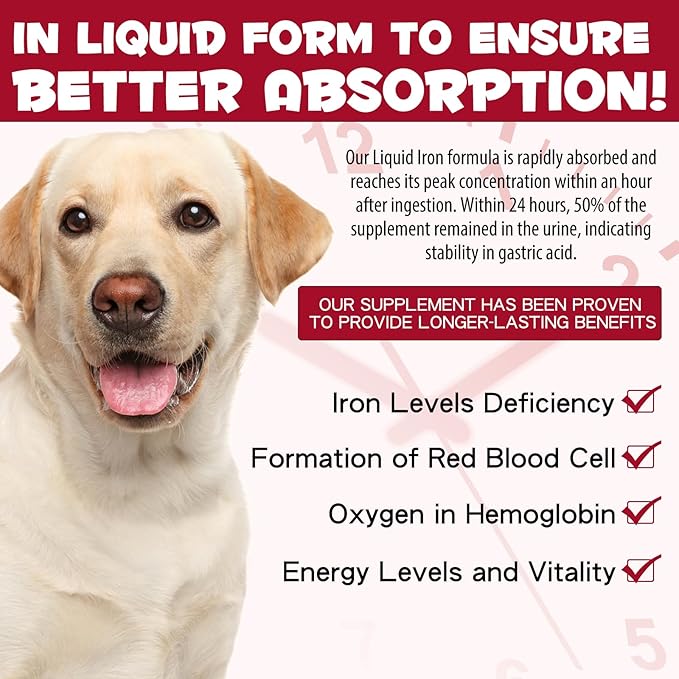 Liquid Iron for Dogs, Liquid Iron Drops Supplement for Dogs Supports Dogs Iron Deficiency Lethargy Relief - Improve Energy Levels & Vitality, Dog Vitamin Supplies, Caramel Flavor - 60ml / 2 fl.oz