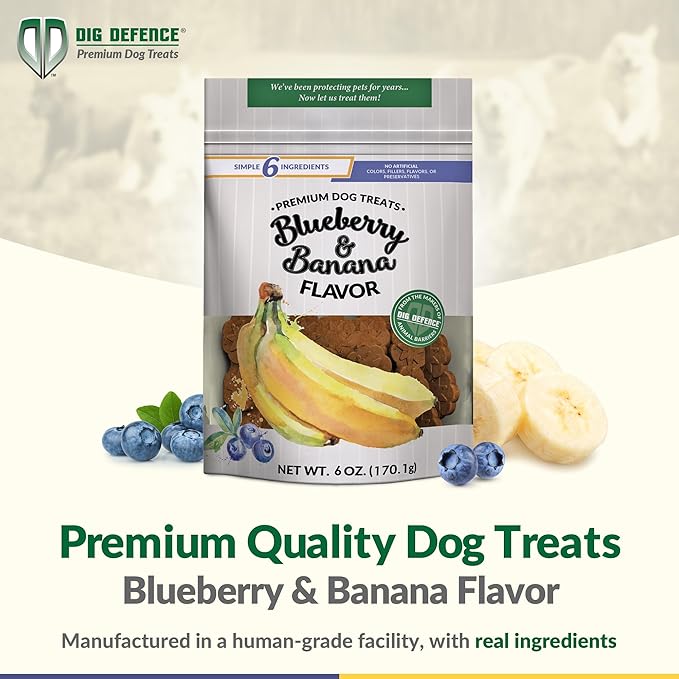 Dig Defence - Blueberry and Banana Premium Dog Treats - Gourmet Healthy Dog Treats, Training Treats for Dogs