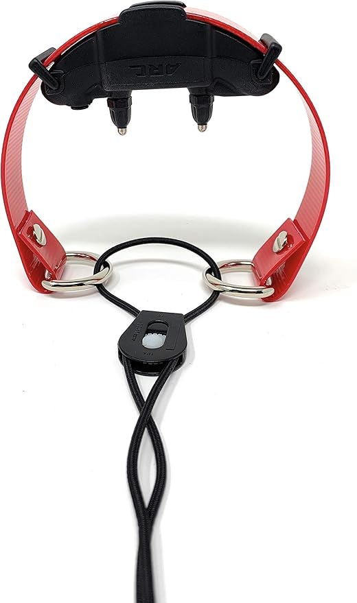 Sparky Pet Co - ECollar Replacement Strap - Bungee Dog Collar - Waterproof - Adjustable - Secure Nexus Wheel Lock - for Electronic Training & Invisible Fence Systems - 1" (Red)