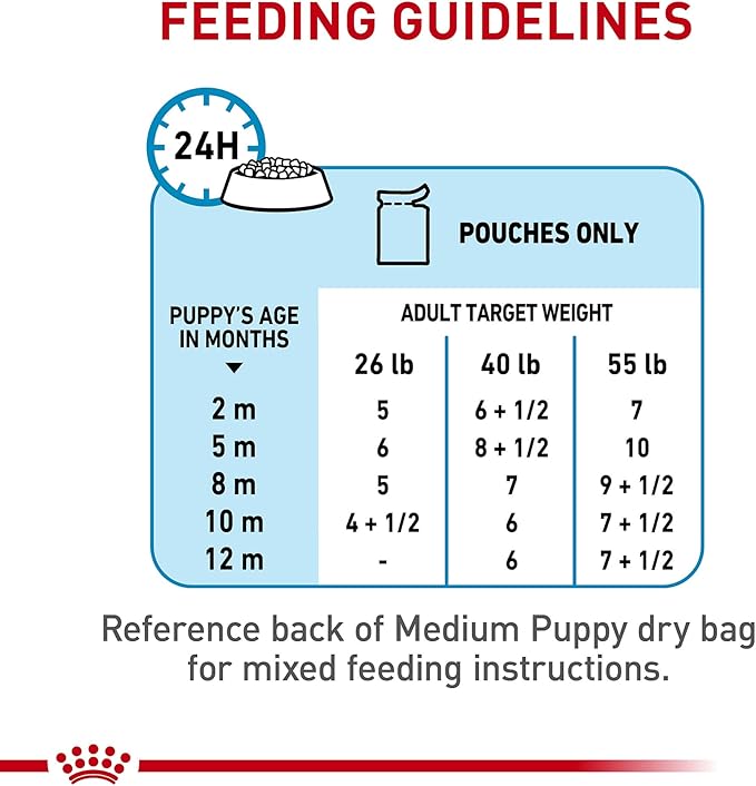 Royal Canin Size Health Nutrition Medium Puppy Chunks in Gravy Wet Dog Food, 4.9 oz pouch (10-pack)