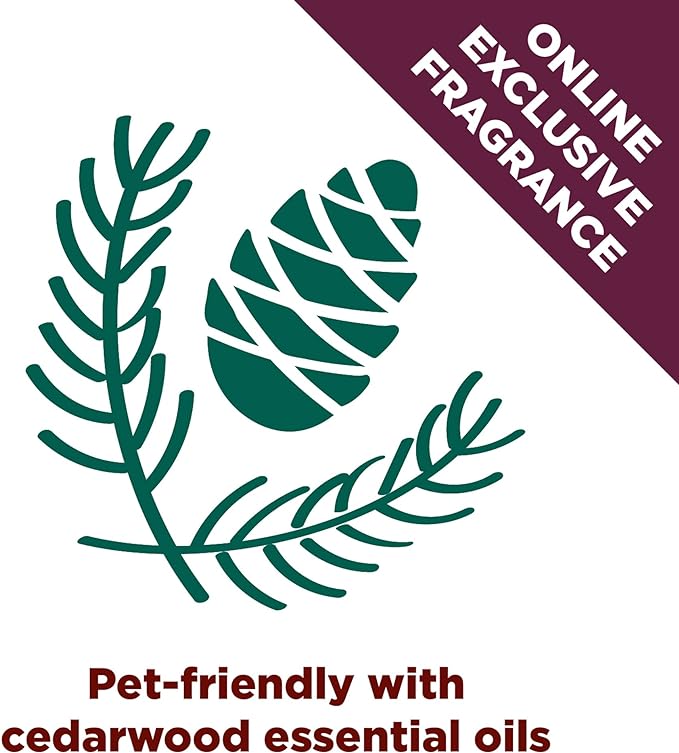 Arm & Hammer Forever Fresh Clumping Cat Litter Cedarwood, MultiCat 18lb, Pet Friendly with Essential Oils, (Pack of 1)