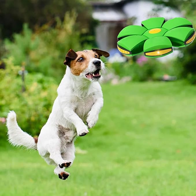 Pet Toy Flying Saucer Ball, Flying Saucer Ball Dog Toy with 3 Light for Interactive Dog,Cats, Children's Foot Ball,Outdoor Games,Camping Games-Green