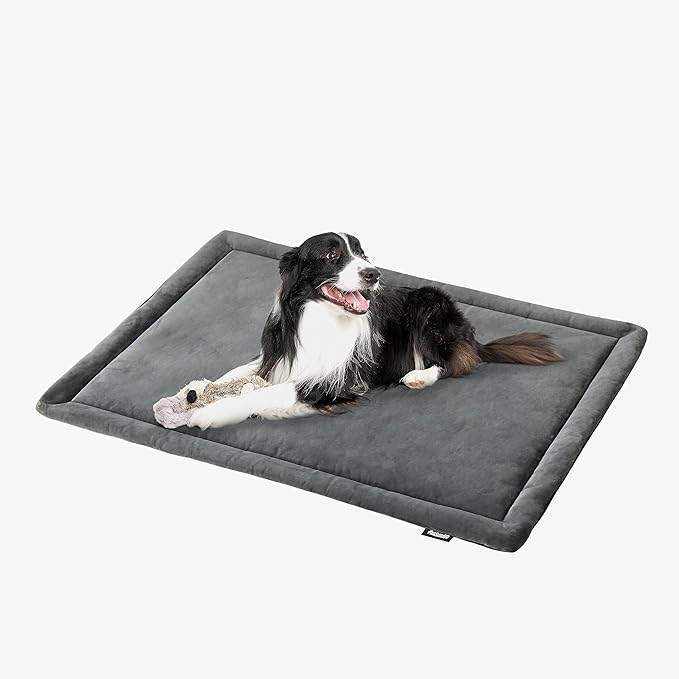 Allisandro Water-Proof Dog Bed, Washable Mat Crate Pad, Durable Pet Beds Soft Dog Mattress, Anti-Slip Kennel Pads for Dogs, Cats and Small Animal, Grey (48 x 30 Inches)