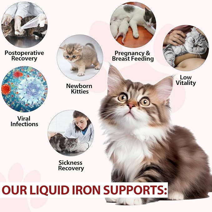 Liquid Iron Supplements for Cats,60ML,LiquiI Iron with Vitamin C and B12,Supports Anemia, Low Enery Levels and Lethargy,Promotes Blood Health, Helps with Formation of Red Blood Cell