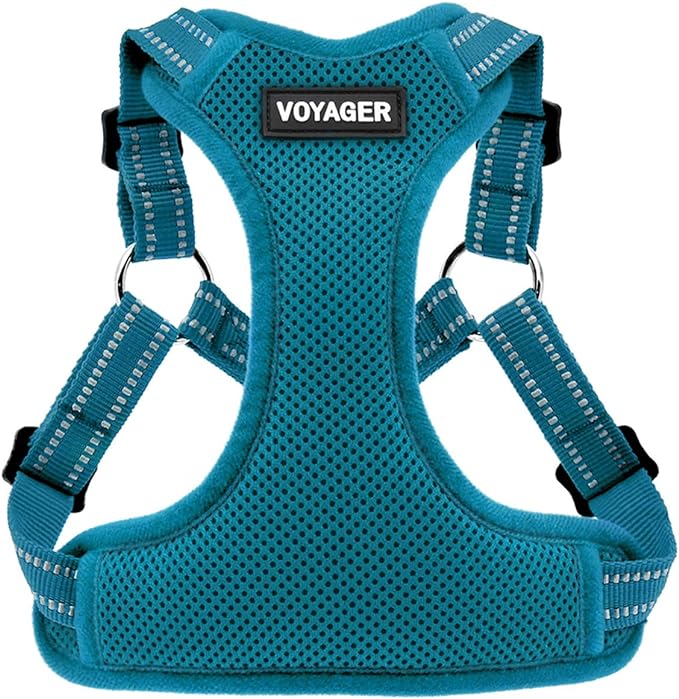 Best Pet Supplies Voyager Adjustable Dog Harness with Reflective Stripes for Walking, Jogging, Heavy-Duty Full Body No Pull Vest with Leash D-Ring, Breathable All-Weather - Harness (Turquoise), XL